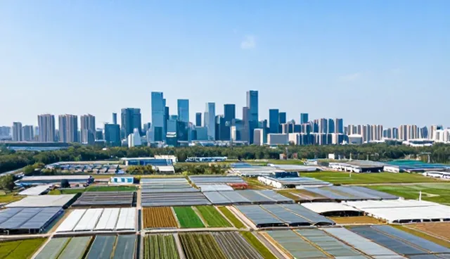 提升地区项目实施效果的关键技术培训实践
